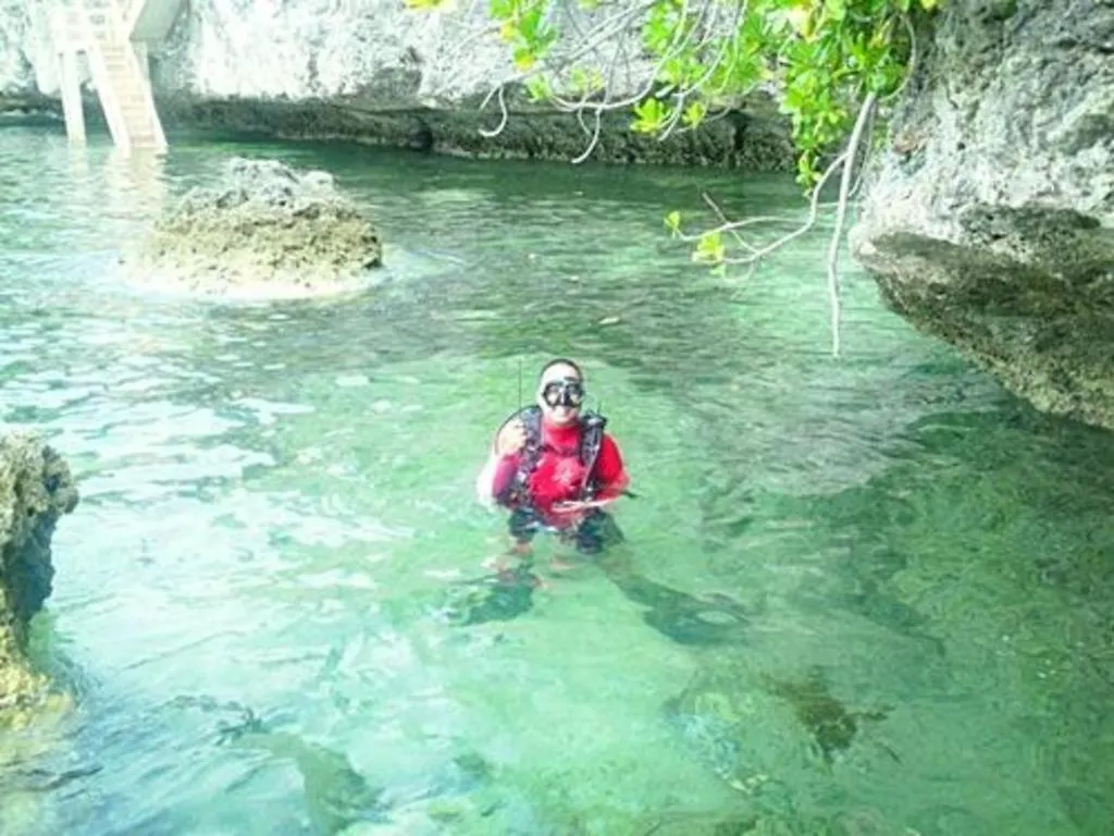 Alexis Cliff Dive Resort 팡라오 0*,  필리핀