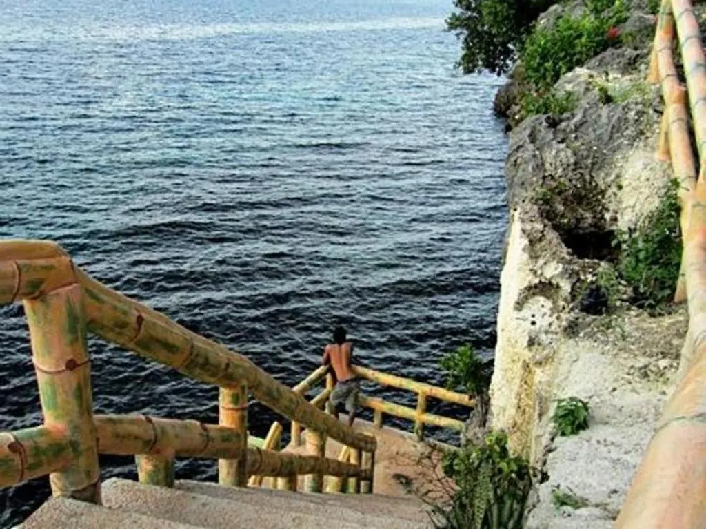 Alexis Cliff Dive Resort 팡라오 필리핀