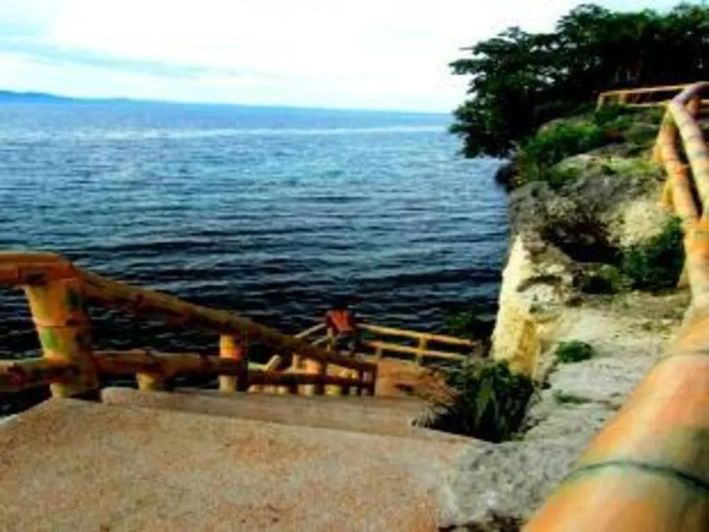 Alexis Cliff Dive Resort Panglao Filipíny