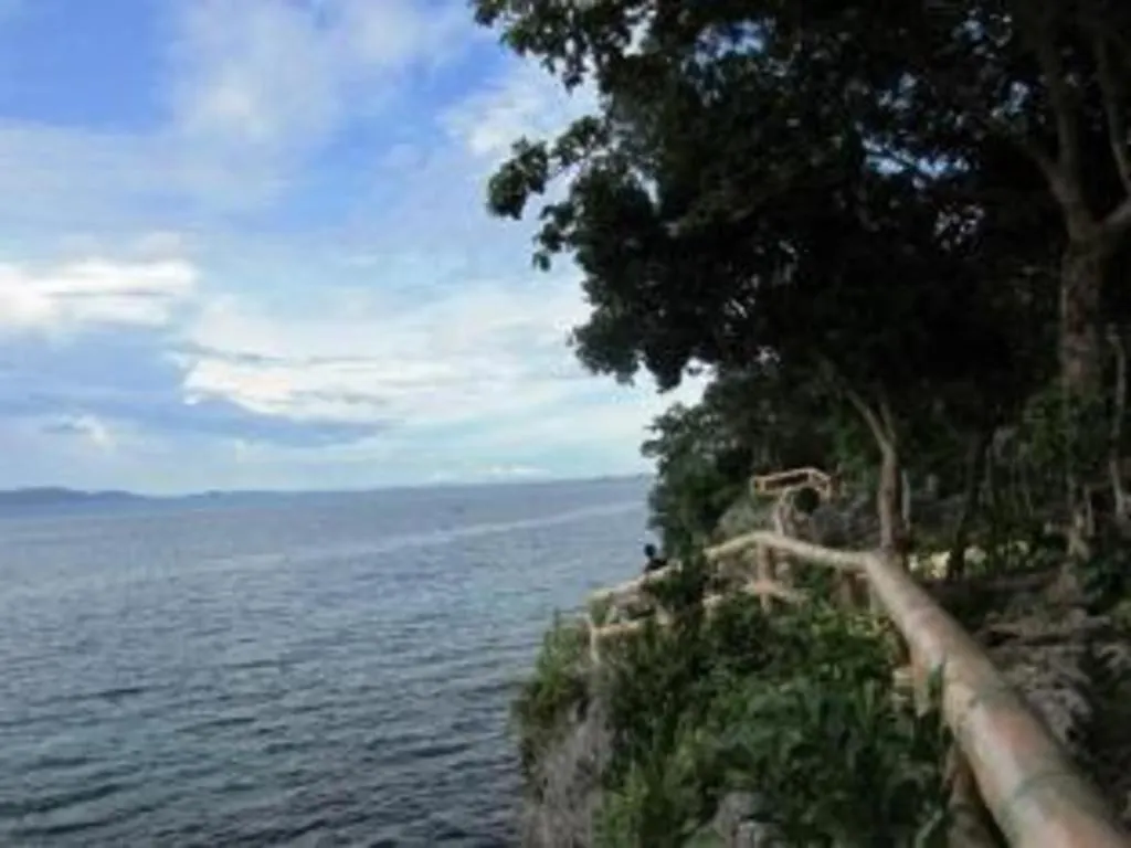 Alexis Cliff Dive Resort Panglao