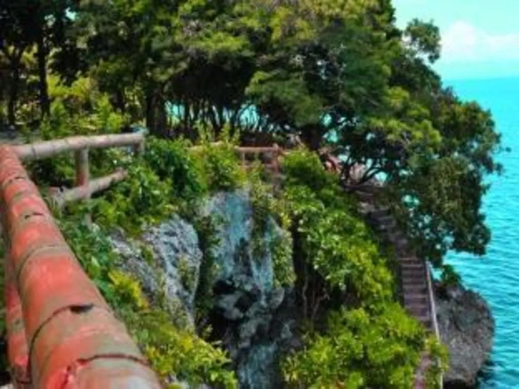 Alexis Cliff Dive Resort Panglao