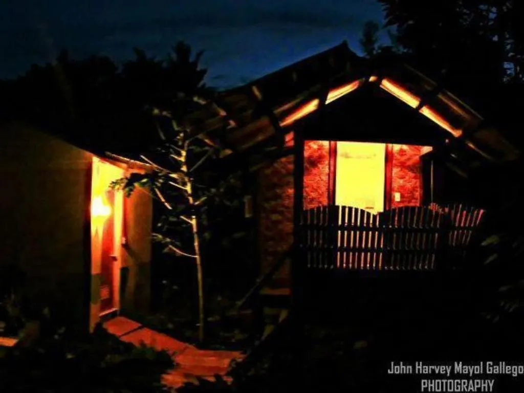 Alexis Cliff Dive Resort Panglao